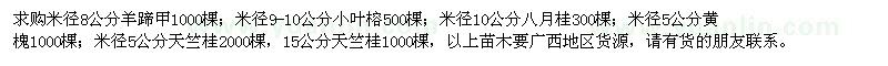 求购羊蹄甲、小叶榕、八月桂、黄槐、天竺桂