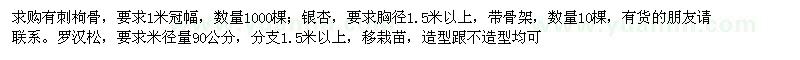 求购有刺枸骨、银杏、罗汉松、柿子树