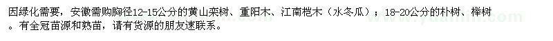 求购黄山栾树、重阳木、江南桤木、朴树、榉树