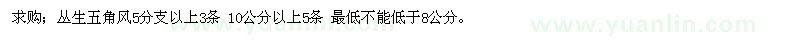 求购丛生五角风5分支以上3条 10公分以上5条