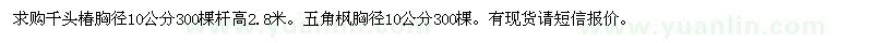求购千头椿，五角枫胸径10公分