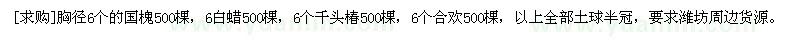 求购胸径6个的国槐500棵，6白蜡500棵，6个千头椿500棵，6个合