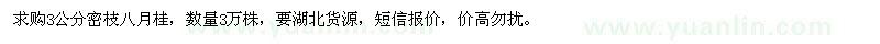 求购3公分八月桂3万棵