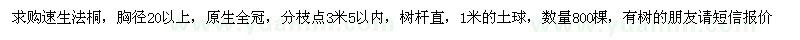 求购速生法桐，胸径20以上