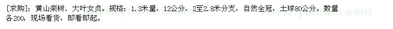 求购黄山栾树、大叶女贞。规格：1.3米量，12公分