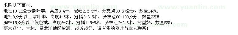 求购紫叶李、假色槭