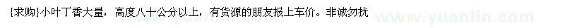 求购小叶丁香大量，高度八十公分以上（吉林省长春市）