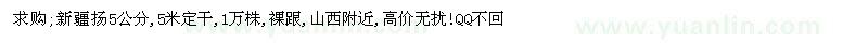 求购新疆扬5公分,5米定干 1万株