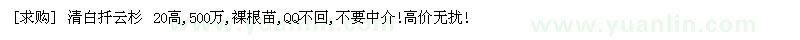 求购清白扦云杉 20高,500万,裸根苗（山西省大同市）