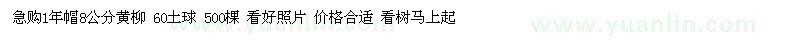 求购1年帽8公分黄柳 60土球 500棵（河北省衡水市）