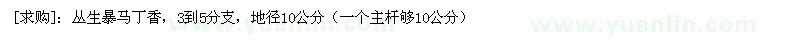 求购丛生暴马丁香，3到5分支，地径10公分（辽宁省铁岭市）