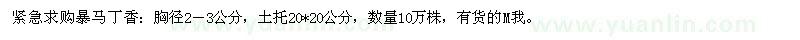 求购暴马丁香10万