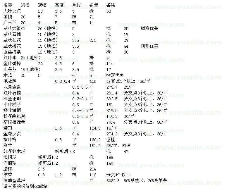 求购大叶女贞、国槐、广玉兰、洒金珊瑚、早熟禾等苗木求购单