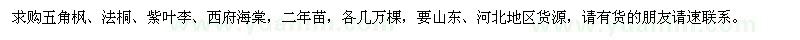 求购五角枫、法桐、紫叶李、西府海棠苗