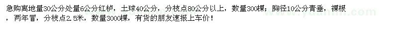 求购地径6公分红栌、胸径10公分青垂