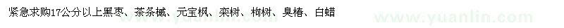 求购17公分以上黑枣、茶条槭、元宝枫、栾树、枸树、臭椿、白蜡