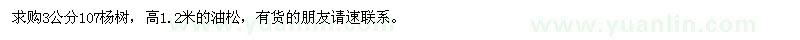 求购3公分107杨树、高1.2米油松