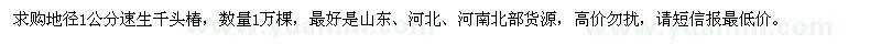 求购地径1公分速生千头椿1万棵