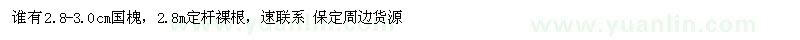 求购2.8-3.0cm国槐，2.8m定杆裸根