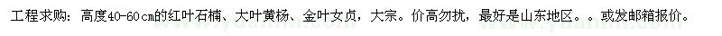 求购红叶石楠、大叶黄杨、金叶女贞