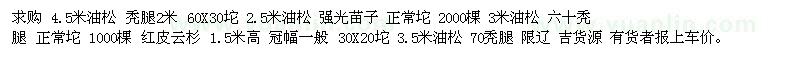 求购4.5米油松 2.5米油松 3米油松 红皮云杉