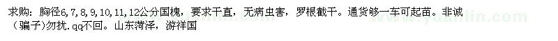 求购胸径6,7,8,9,10,11,12公分国槐