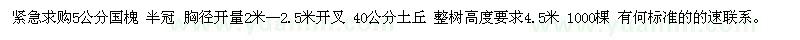 求购5公分国槐 半冠 胸径开量