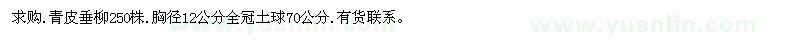 求购青皮垂柳250株.胸径12公分全冠土球70公分