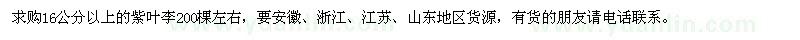 求购16公分以上的紫叶李