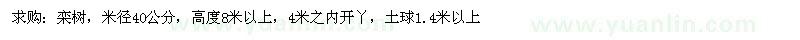 求购栾树，米径40公分，高度8米以上 