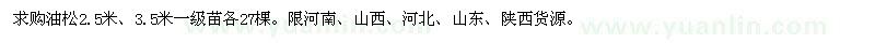求购油松2.5米、3.5米一级苗 