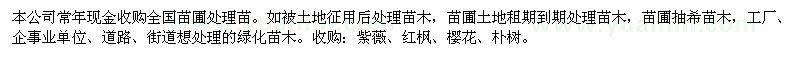 求购因土地变动处理苗木：紫薇、红枫、樱花、朴树