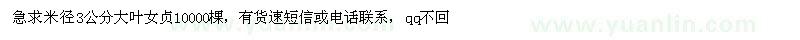 求购米径3公分大叶女贞10000棵 