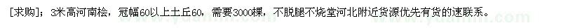 求购3米高河南桧，冠幅60以上土丘60