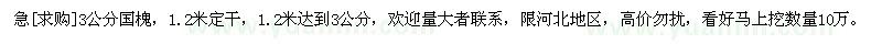 求购3公分国槐，1.2米定干，1.2米达到3公分