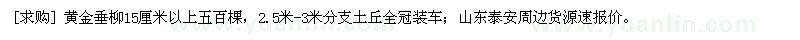 求购黄金垂柳15厘米以上五百棵