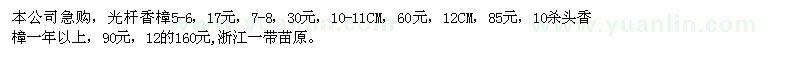 求购光杆香樟5-6，10杀头香樟一年以上