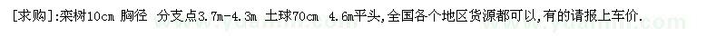 求购栾树10cm 胸径 分支点3.7m-4.3m