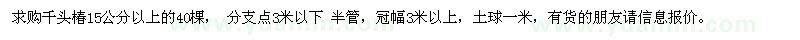 求购千头椿15公分以上的40棵 