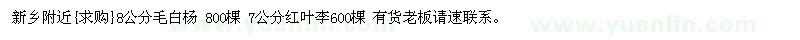 求购新乡附近8公分毛白杨 7公分红叶李