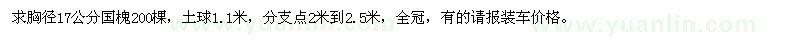 求购胸径17公分国槐200棵