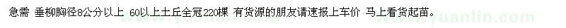 求购垂柳胸径8公分以上 60以上土丘全冠220棵