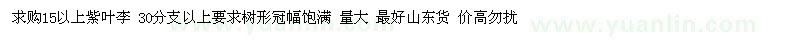 求购15以上紫叶李 30分支以上