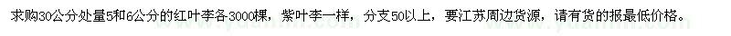 求购5公分，6公分的红叶李各3000棵