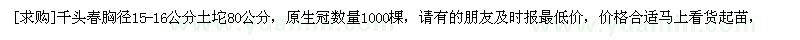 求购千头春胸径15-16公分土坨80公分