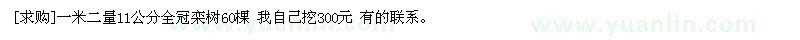 求购一米二量11公分全冠栾树60棵