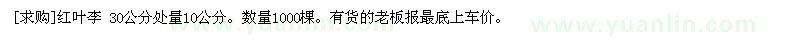 求购红叶李 30公分处量10公分。数量1000棵