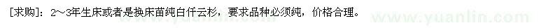 求购2～3年生床或者是换床苗纯白仟云杉