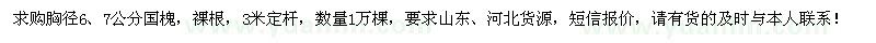 求购胸径6、7公分国槐1万棵