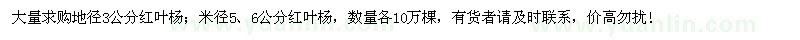 求购地径3公分、米径5、6公分红叶杨各10万棵